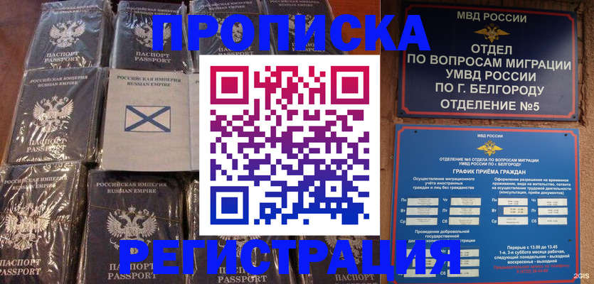 прописка гарантия в Моршанске
